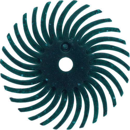 Radial Brush Disc  TBR19.1X80  TRUSCO