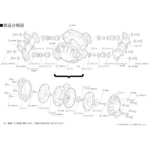 Maintenance Parts for Diaphragm Pump  TD08AN001  TAIYO