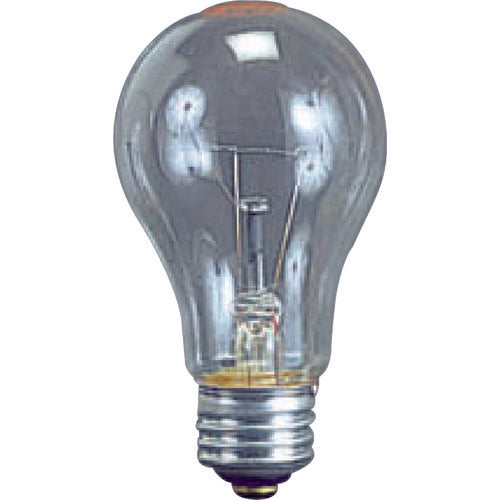 Hand Lamp(Incandescent Lamp)  TD-100  HATAYA