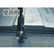 Load image into Gallery viewer, Steel Denden Bolt  TDB-1050  TRUSCO
