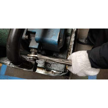 Load image into Gallery viewer, Grip Plier  TGP-200  TRUSCO
