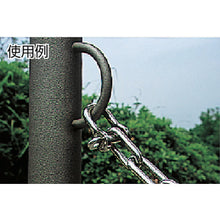 Load image into Gallery viewer, Stainless Steel Half-Round Screw Pin D-Shackle  THS-5  TRUSCO
