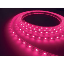 Load image into Gallery viewer, Led Tape Light Viewdi Multi L3000 DMX set  TLVDM3-16.6P-3-C  tlight
