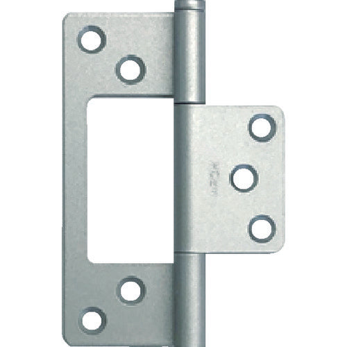 Thick type Flash Hinge  TNFH03-100S  ARCH