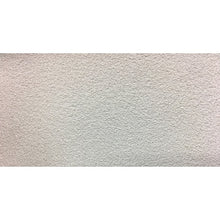 Load image into Gallery viewer, Anti-Slip Tape(Outdoor)  TNS-10010W  TRUSCO
