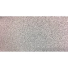 Load image into Gallery viewer, Anti-Slip Tape(Outdoor)  TNS-150610W  TRUSCO
