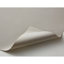 Load image into Gallery viewer, Anti-Slip Sheet  TNSS-A4  TRUSCO
