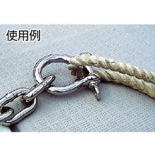 Load image into Gallery viewer, Stainless Steel Screw Pin Anchor Shackle  TOS-10  TRUSCO
