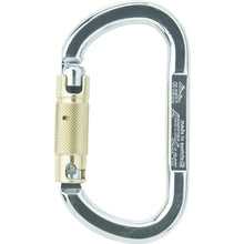 Load image into Gallery viewer, Climbing Carabiner  TP35AK3  ALPIN
