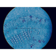 Load image into Gallery viewer, Micrometer-Scope with LED  TS-8L-LCCN  SUGITOH
