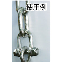 Load image into Gallery viewer, Stainless Steel Safety D-Shackle  TSBU-6  TRUSCO
