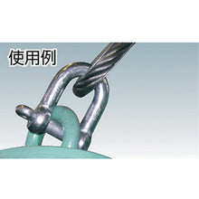 Load image into Gallery viewer, Screw Shackle  TSC-012  TRUSCO
