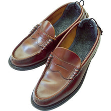 Load image into Gallery viewer, Deodorant Desiccant for Shoes  TSC-SD  TRUSCO
