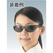 Load image into Gallery viewer, Two-lens type Safety Glasses(Polarized Lens)  TSG-380  TRUSCO
