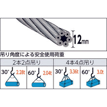 Load image into Gallery viewer, Wire Rope Sling B E type (Aluminium Mechanical Lock )  TWEL-12S1  TRUSCO
