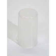Load image into Gallery viewer, Bottle With Brush  TYHT-100  TRUSCO
