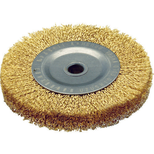 Steel Wire Gold Wheel Brush  W-11  NSK