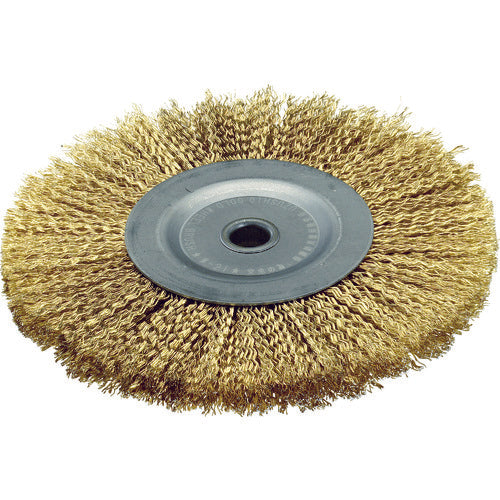 Steel Wire Gold Wheel Brush  W-21  NSK