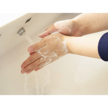 Load image into Gallery viewer, Hand Soap For Disinfectant Medicine  WUHS-05  TRUSCO
