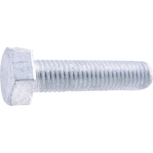 Cormic Hexagon Head Bolt  Y012-0620  TRUSCO