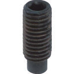 Load image into Gallery viewer, Steel Hexagon Socket Set Screw  Y102-0306  TRUSCO
