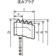 Load image into Gallery viewer, Taper Plug(Sunk Head Plug)  Y1082-0314  TRUSCO
