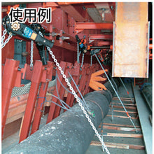 Load image into Gallery viewer, Lever Hoist  Y2-00515  ELEPHANT
